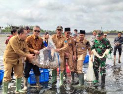 Cuan Miliran Rupiah, BUMdes Bumi Pratama Mandira Bangun Desa Hingga Jamin Premi Kecelakaan Kerja Seluruh Warga.